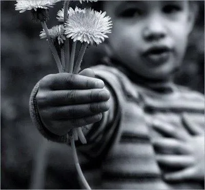 Ô Trocyn Bão: Carinho gostoso é aquele que recebemos sem pedir