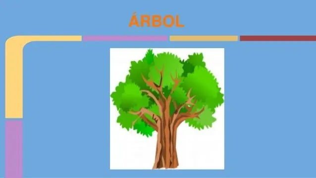OBJETOS CON LA LETRA &quot;A&quot;