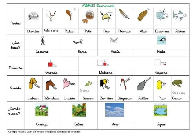 Objetos por la ñ - Imagui