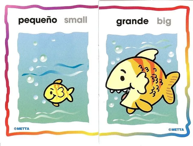Objetos opuestos para niños - Imagui