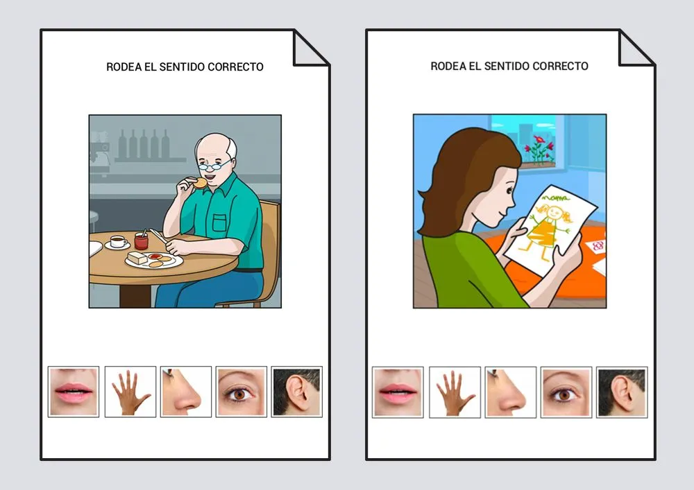 Los objetos y los sentidos: Habilidades básicas #Soyvisual Los objetos y los sentidos: Habilidades básicas #Soyvisual