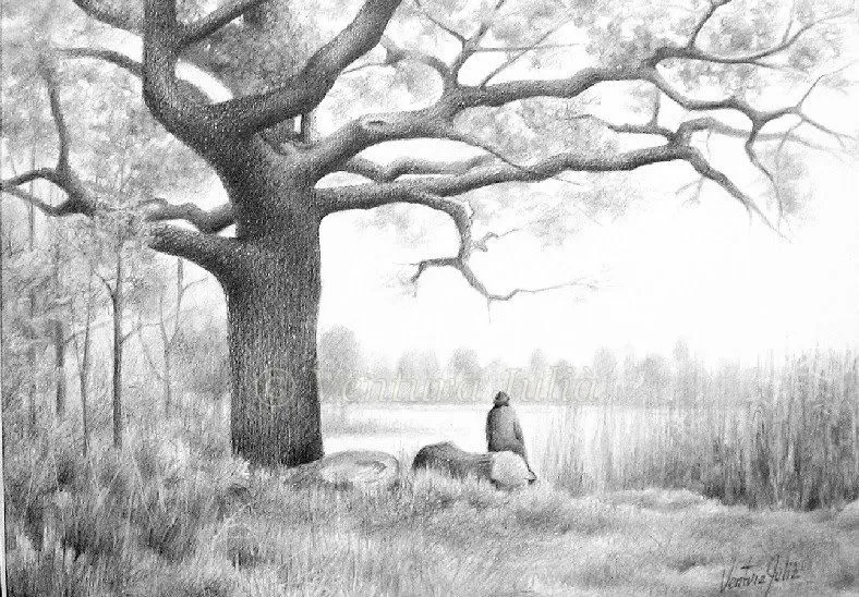 OBRA ARTISTICA - DIBUJOS: Arbre - Dibujo lápiz - 35 X 25 cm. OBRA ARTISTICA - DIBUJOS: Arbre - Dibujo lápiz - 35 X 25 cm.