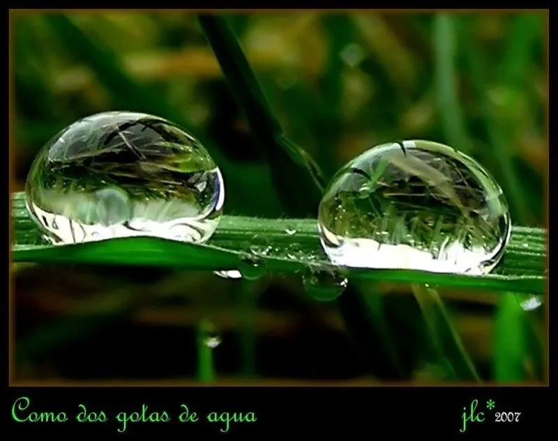 Observad y llorad por las hermosas gotas de agua