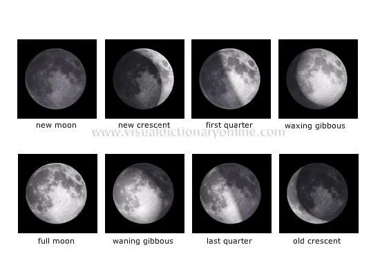 Observatorio de la Cronosfera: Influencia de las fases de la Luna ...