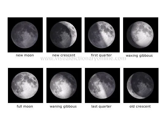 Observatorio de la Cronosfera: Influencia de las fases de la Luna ... Observatorio de la Cronosfera: Influencia de las fases de la Luna ...