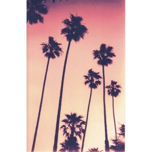 OBSESIVA COMPULSIVA : California #InstaSize #tagsforlikes #TapTap...