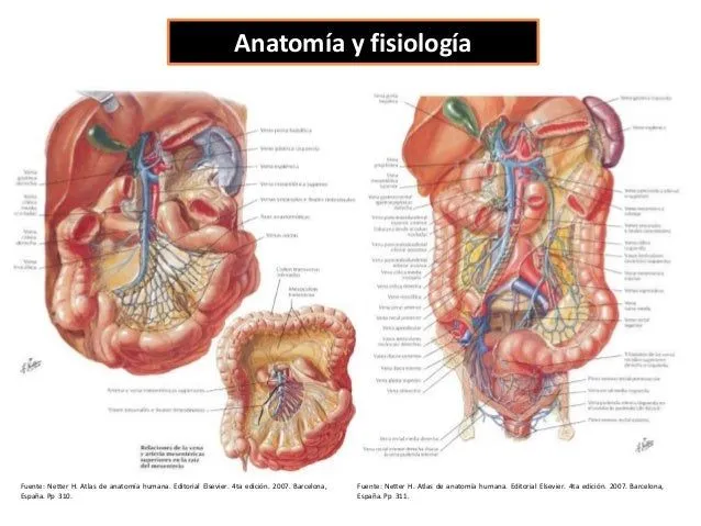 obstruccin-intestinal-7-638. ...