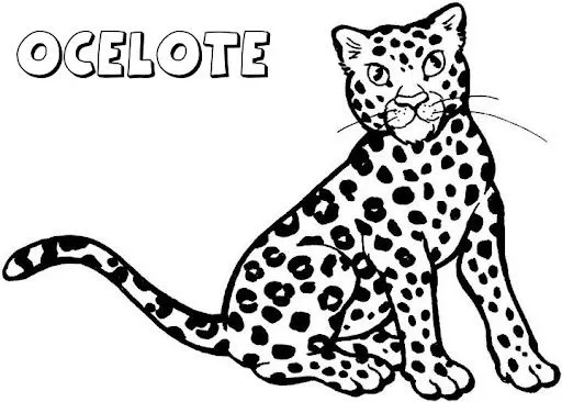 OCELOTES DIBUJOS PARA COLOREAR