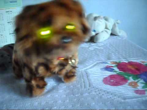 ochurus mi perrito. - YouTube