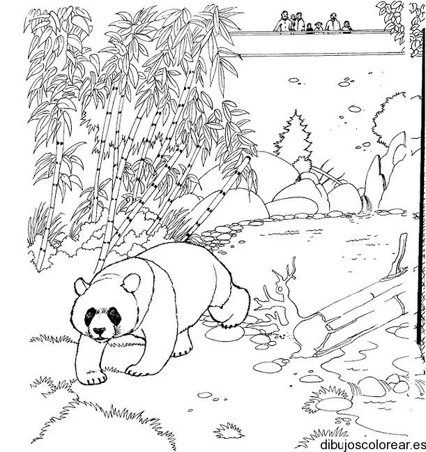 Dibujo de un oso panda en el bosque | Dibujos para Colorear Dibujo de un oso panda en el bosque | Dibujos para Colorear