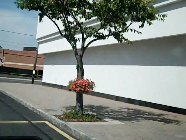 octubre | 2013 | CARLOS Tigre sin Tiempo = CTsT=Blog Matriz de C.V.P.