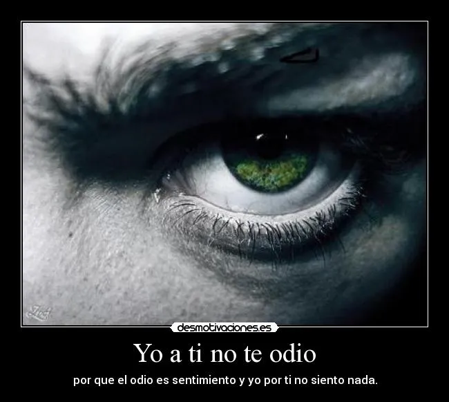 Yo a ti no te odio | Desmotivaciones