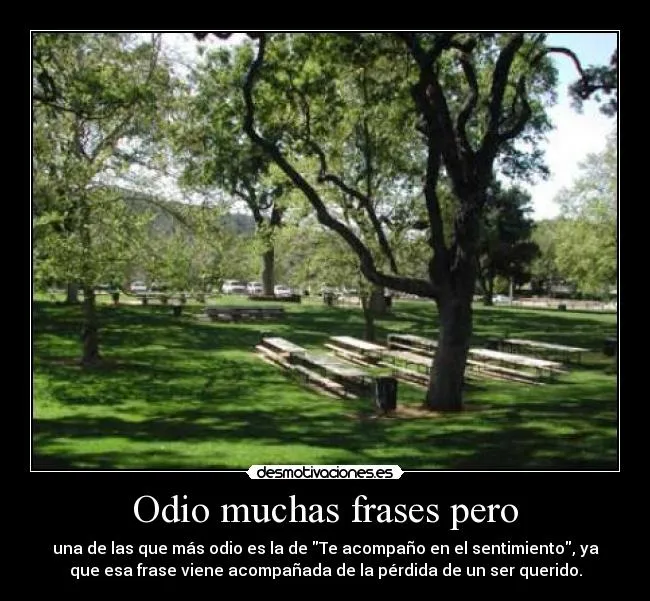 Odio muchas frases pero | Desmotivaciones