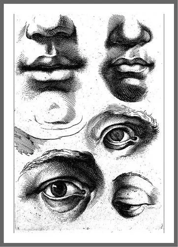 odisea2008: DIBUJO DEL CUERPO HUMANO CARRACCI AÑO 1600 odisea2008: DIBUJO DEL CUERPO HUMANO CARRACCI AÑO 1600