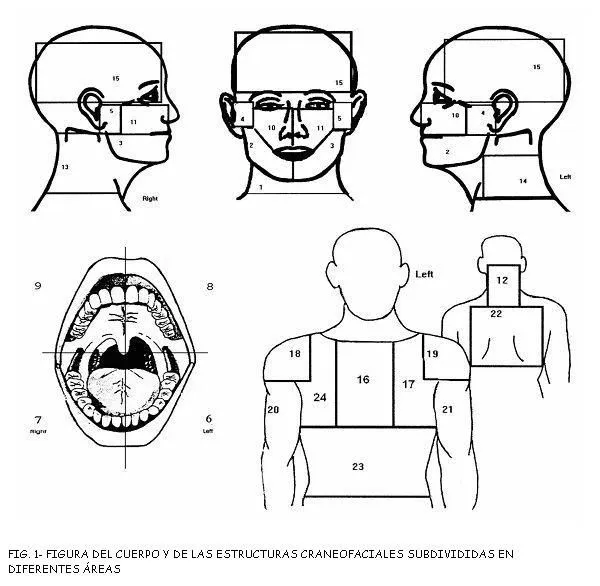 Odontoestomatología - Dolor Cráneo-facial como Síntoma Aislado de ... Odontoestomatología - Dolor Cráneo-facial como Síntoma Aislado de ...