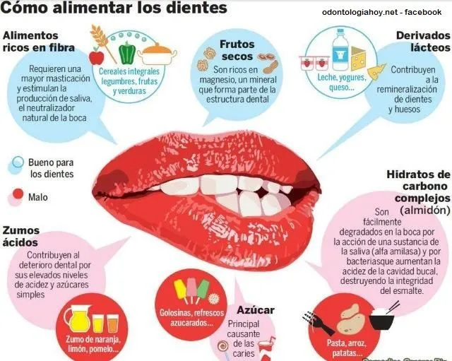 Alimentos saludables y perjudiciales en salud bucal | Odontologia Hoy! Alimentos saludables y perjudiciales en salud bucal | Odontologia Hoy!