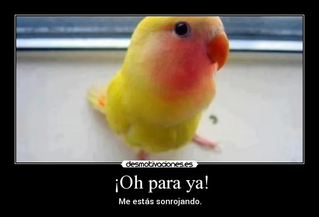 Oh para ya! | Desmotivaciones