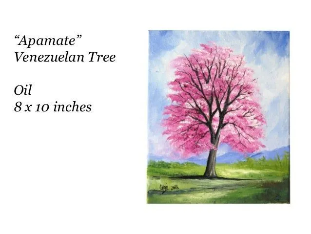 Oil paints – Pinturas al Oleo