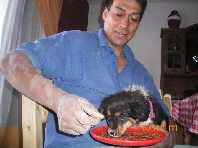 Ojitos Felices