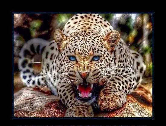 ojos azules | achorate.cl