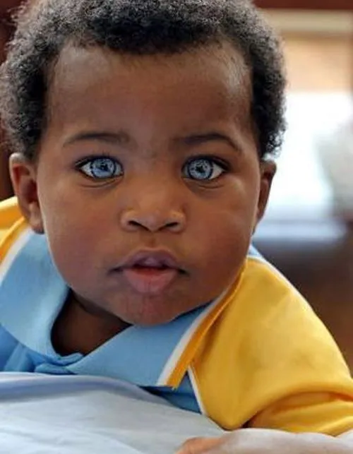 OJOS CLAROS BEBES - Buscar con Google | Rostros | Pinterest | Bebé ... OJOS CLAROS BEBES - Buscar con Google | Rostros | Pinterest | Bebé ...