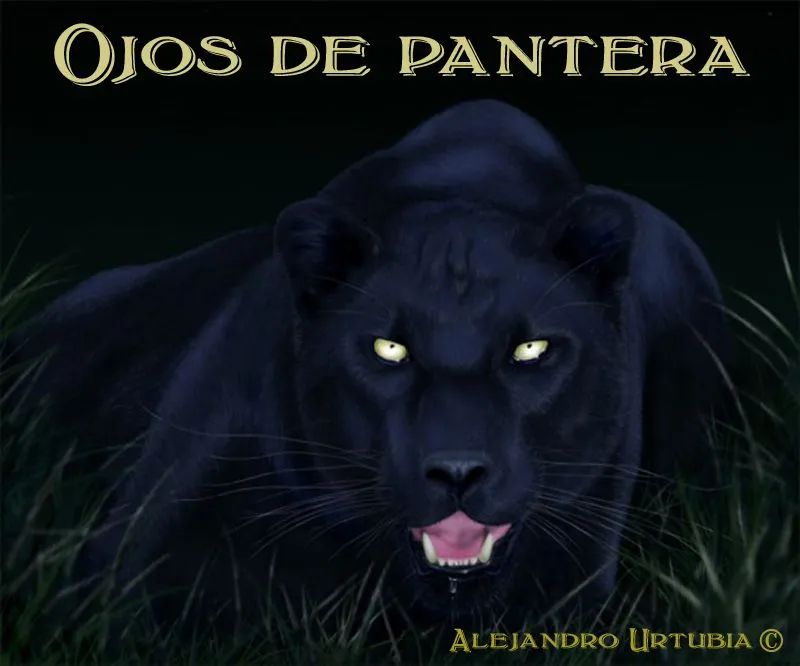 ojos-de-pantera-copia.jpg