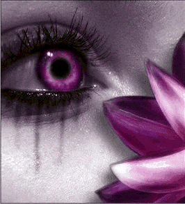 cuando tus ojos derramaron cada lagrima mis brazos se enzimaban para ... cuando tus ojos derramaron cada lagrima mis brazos se enzimaban para ...