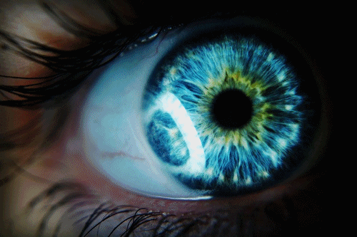 Ojos GIF - Find & Share on GIPHY