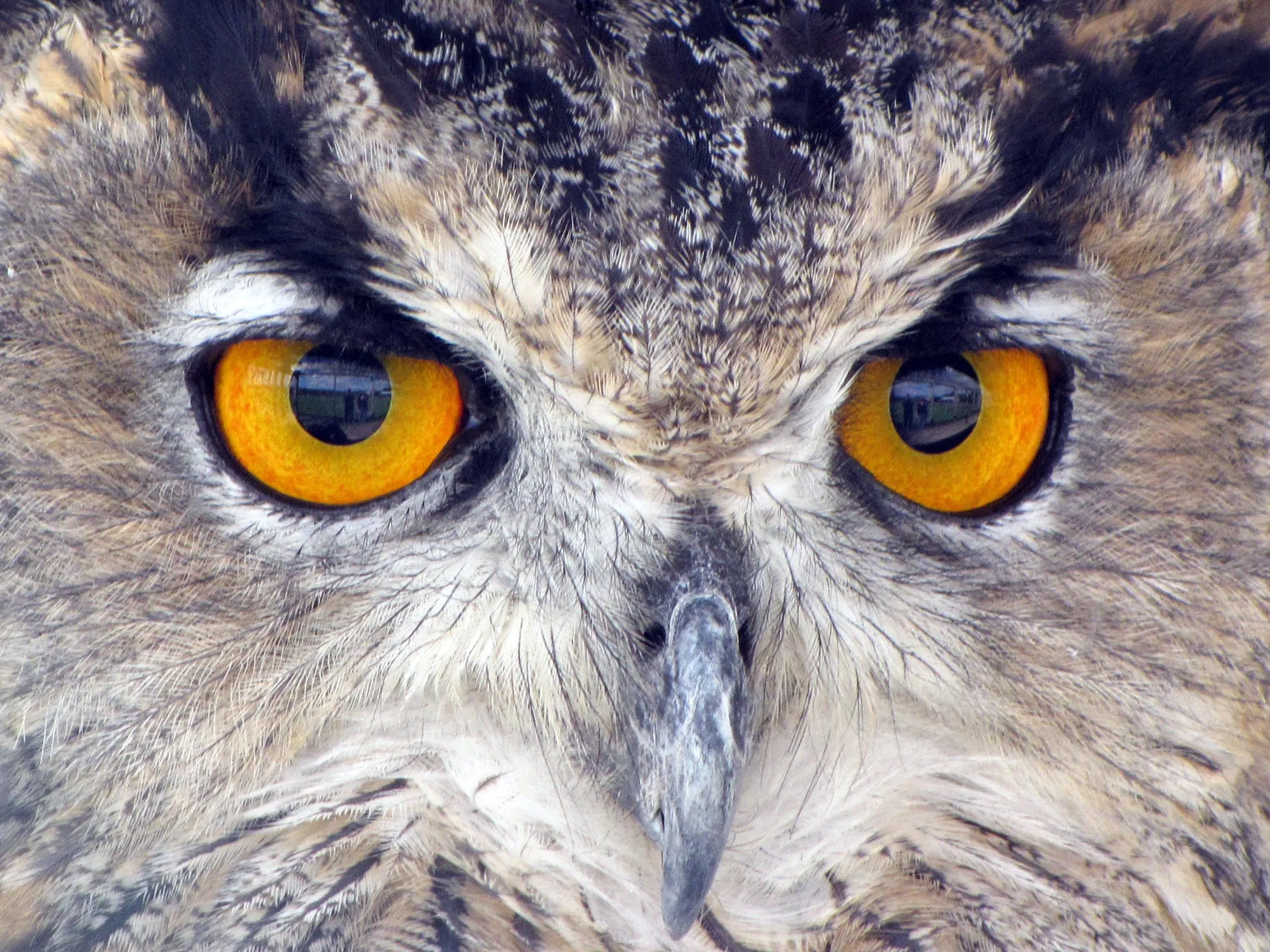 Ojos: otros tres trucos que no te esperabas ~ Resistencia Numantina Ojos: otros tres trucos que no te esperabas ~ Resistencia Numantina