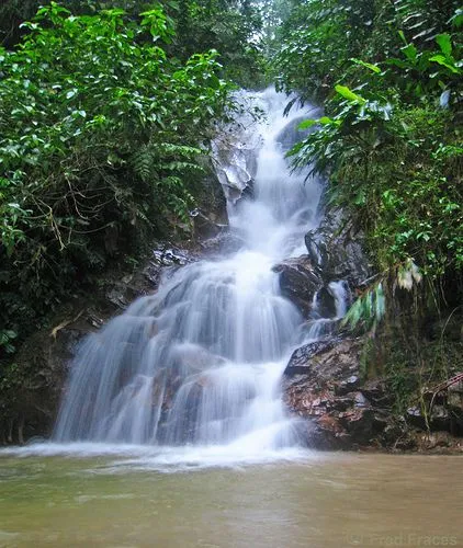 OK, OK, IT'S ME!: ¿Desastre en casa o ataque pokémon? OK, OK, IT'S ME!: ¿Desastre en casa o ataque pokémon?
