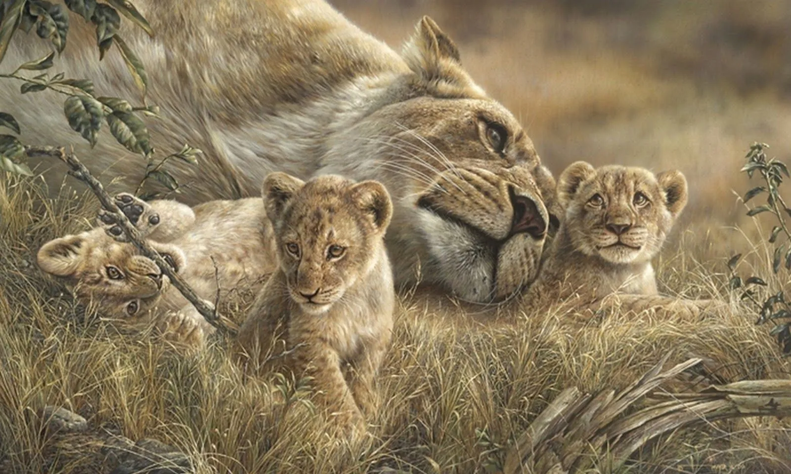 Oleos Animales Salvajes | El club del arte, pinturas