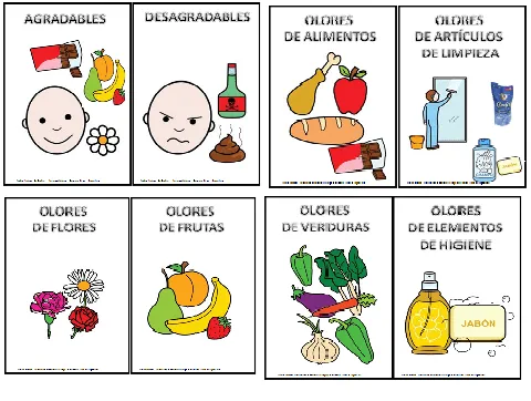El olfato para inicial - Imagui