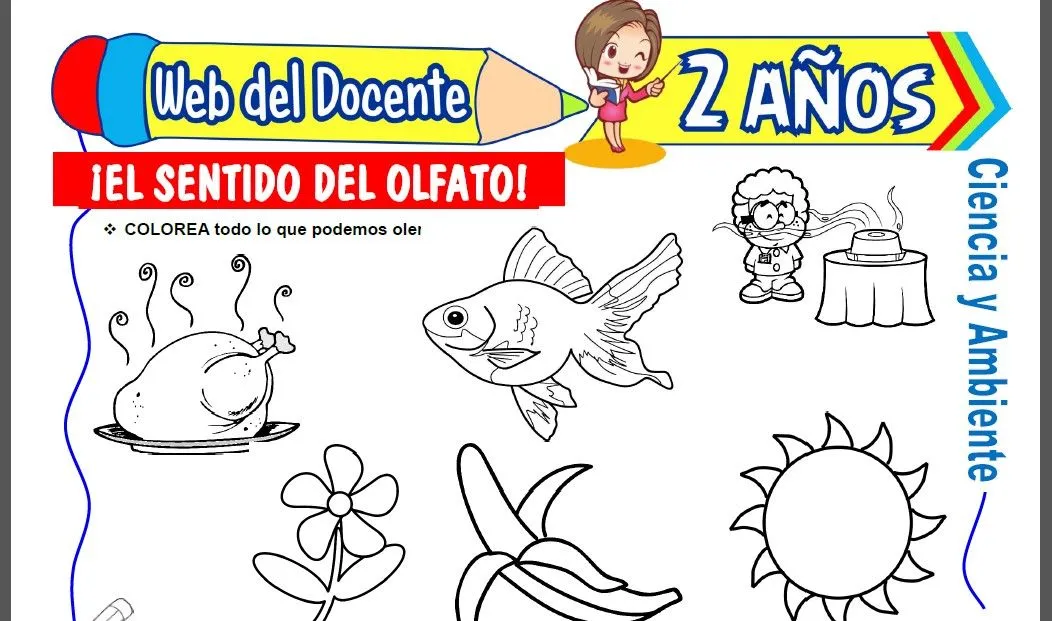 El Olfato para Niños de 2 Años – Web del Docente El Olfato para Niños de 2 Años – Web del Docente