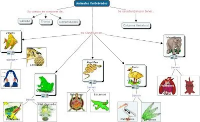 Olguchiland: CLASIFICANDO ANIMALES VERTEBRADOS Olguchiland: CLASIFICANDO ANIMALES VERTEBRADOS