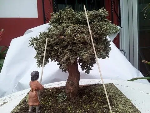 COMO HACER UN OLIVO - HOW TO OLIVE TREE - YouTube COMO HACER UN OLIVO - HOW TO OLIVE TREE - YouTube