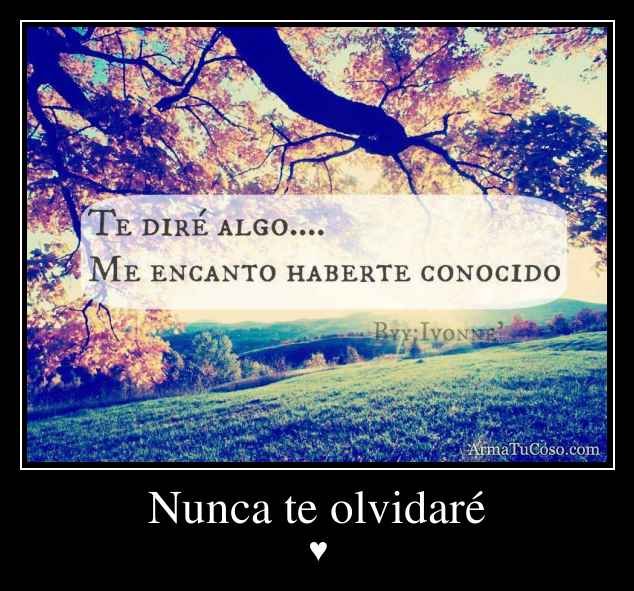Nunca te olvidaré