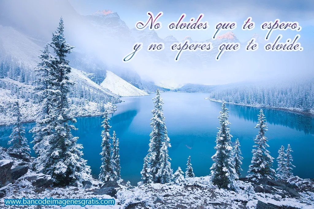 No olvides que te espero, y no esperes que te olvide. | Banco de ... No olvides que te espero, y no esperes que te olvide. | Banco de ...