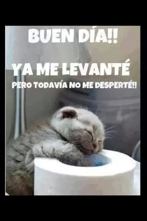 Buenos dias on Pinterest | Te Amo, Good Morning and Frases Buenos dias on Pinterest | Te Amo, Good Morning and Frases