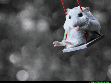 ONCE UPON A TIME: Oie voltei gent! imagens que se mexem fofas!