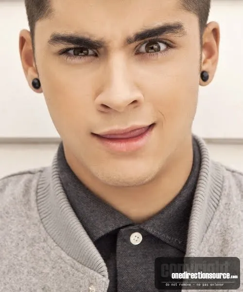 Aretes zayn malik - Imagui