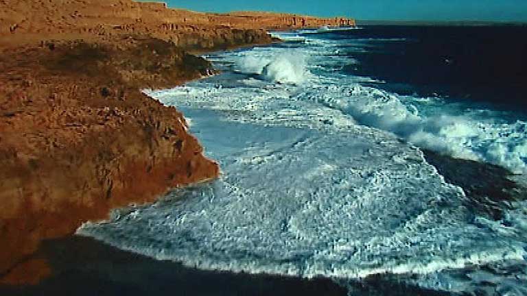 La ONU pide proteger los mares en el Día Mundial de los Océanos ...