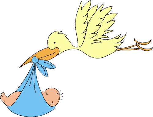 Ooievaar Baby Plaatjes en Animaties