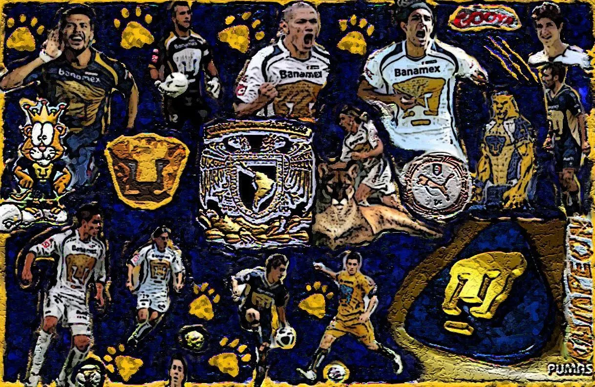 ... es mas opaco que este de abajo advertencia este es solo para los pumas ... es mas opaco que este de abajo advertencia este es solo para los pumas