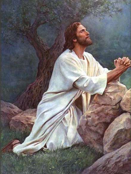 La oración de Jesús en el Huerto de los Olivos. La agonía de Getsemaní La oración de Jesús en el Huerto de los Olivos. La agonía de Getsemaní