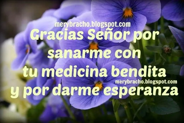Oración por Sanidad de mi enfermedad | Entre Poemas y Vivencias Oración por Sanidad de mi enfermedad | Entre Poemas y Vivencias