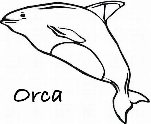 cartoon-whale-coloring-pages- ...