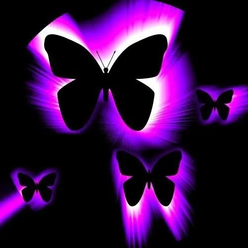 ORDENANDO MIS LIBROS (EL LIMBO DE LOS LIBROS): MARIPOSAS CELESTES ORDENANDO MIS LIBROS (EL LIMBO DE LOS LIBROS): MARIPOSAS CELESTES