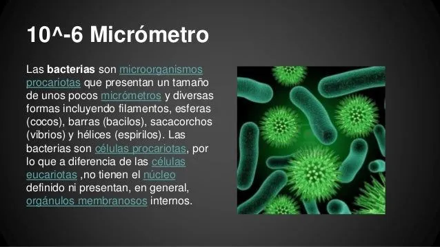 Ordenes de longitud