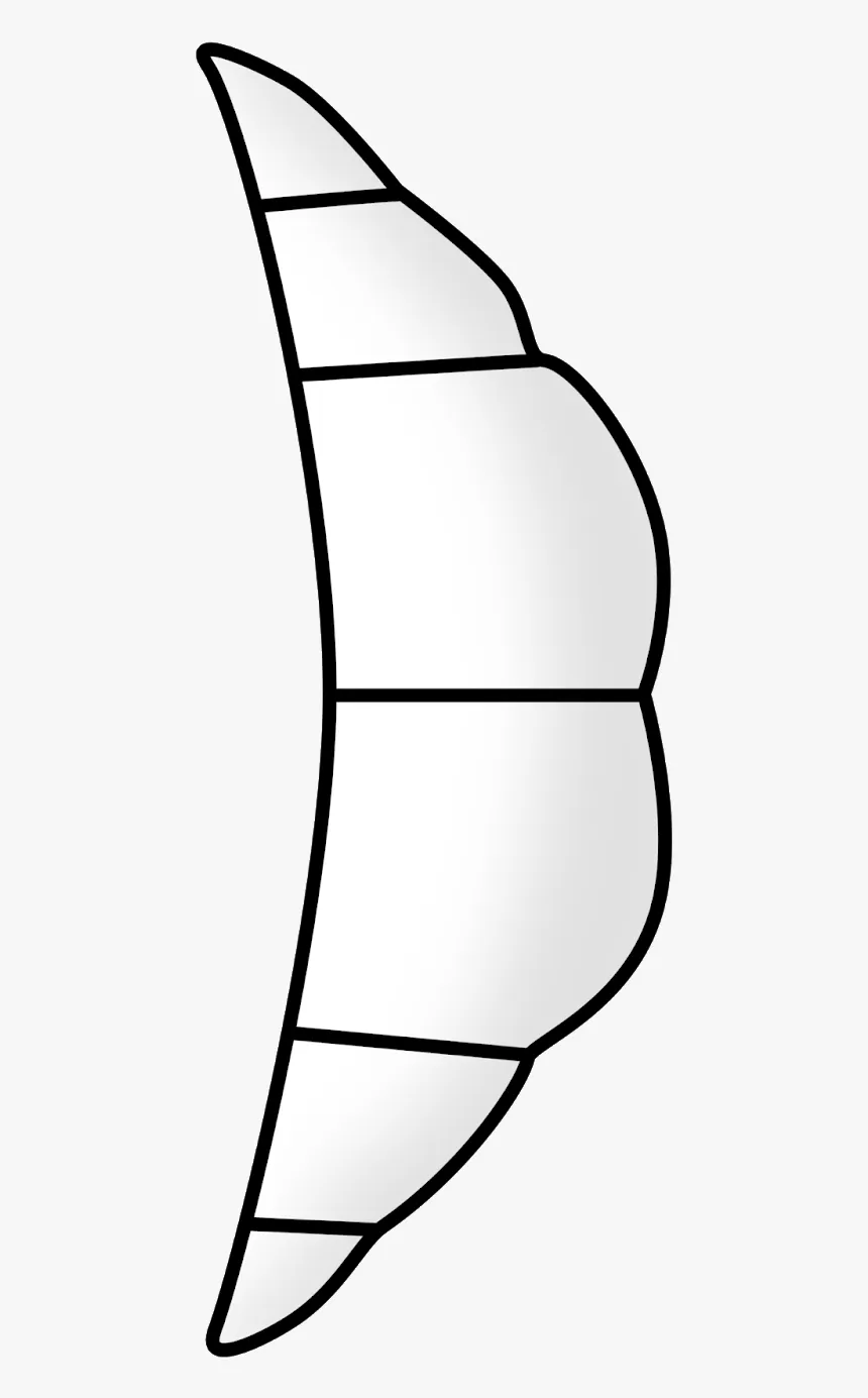 Orejas De Burro Molde, HD Png Download , Transparent Png Image - PNGitem Orejas De Burro Molde, HD Png Download , Transparent Png Image - PNGitem