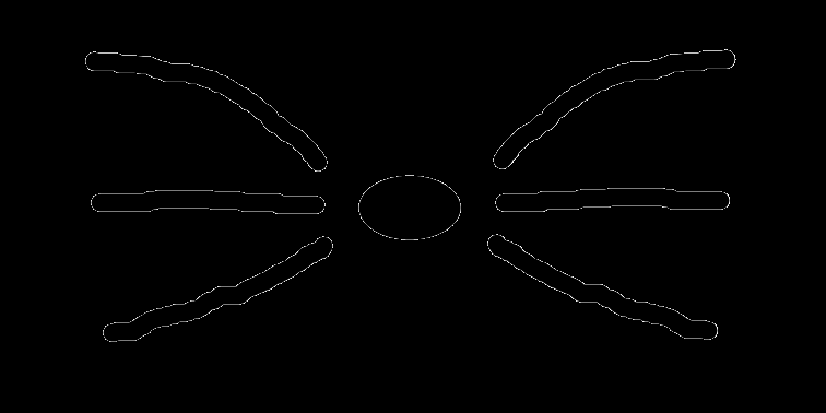 Orejas png by RochiEdiciones on DeviantArt